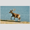 24-27 Finnmark.jpg